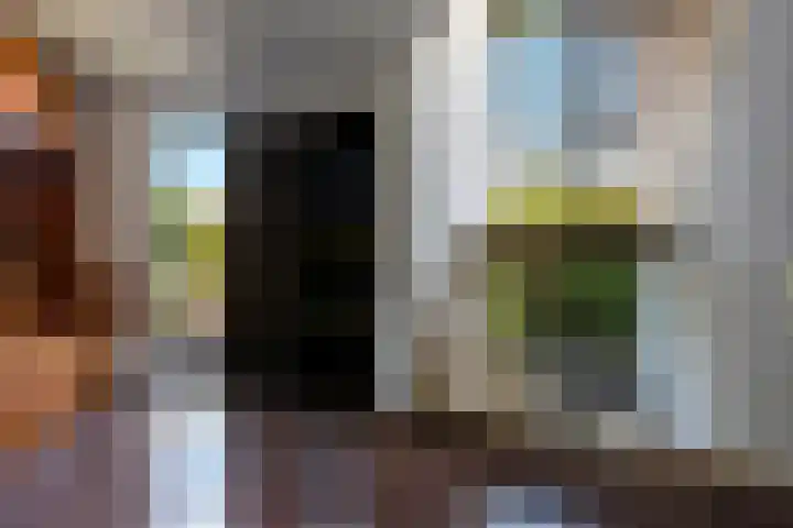 In de Boomgaard 26 Kerkrade thumbnail 9