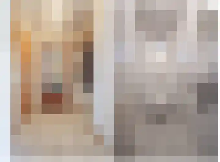 In de Bremmen 6 Haelen thumbnail 13
