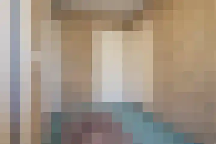 In de Bremmen 6 Haelen thumbnail 19