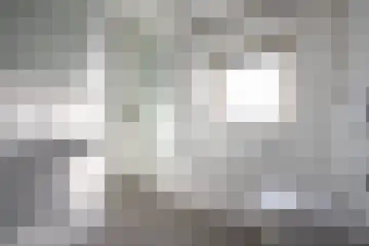 In de Bremmen 6 Haelen thumbnail 21