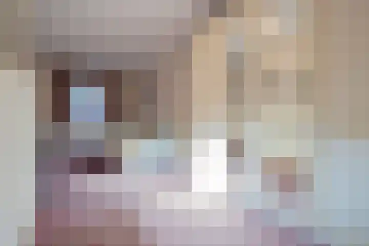 In de Bremmen 6 Haelen thumbnail 24