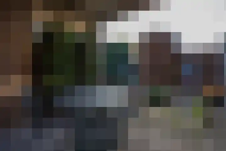 In de Bremmen 6 Haelen thumbnail 28