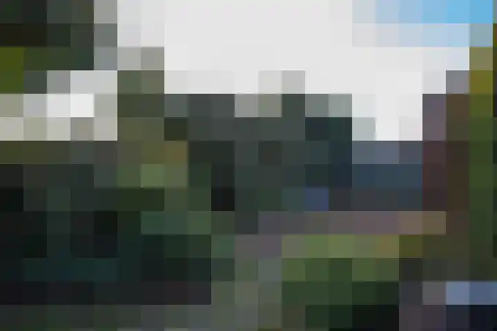 In de Bremmen 6 Haelen thumbnail 29