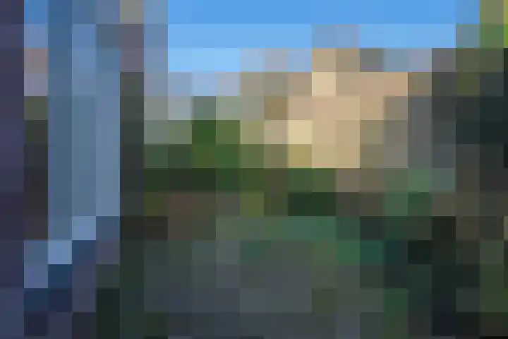 In de Bremmen 6 Haelen thumbnail 30