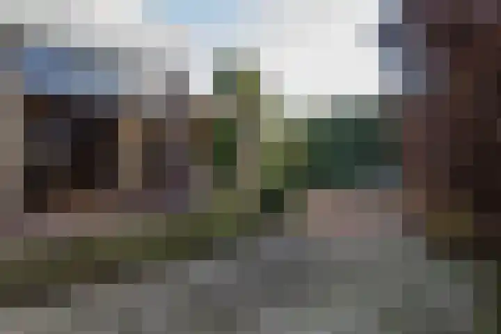 In de Bremmen 6 Haelen thumbnail 31