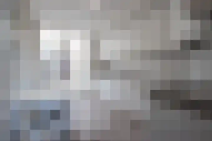 In de Bremmen 6 Haelen thumbnail 4
