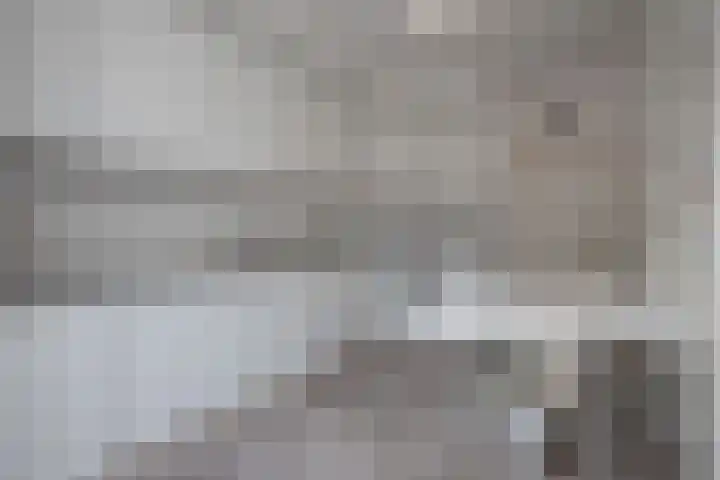 In de Bremmen 6 Haelen thumbnail 5