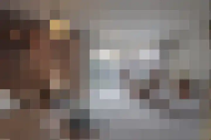 In de Bremmen 6 Haelen thumbnail 6