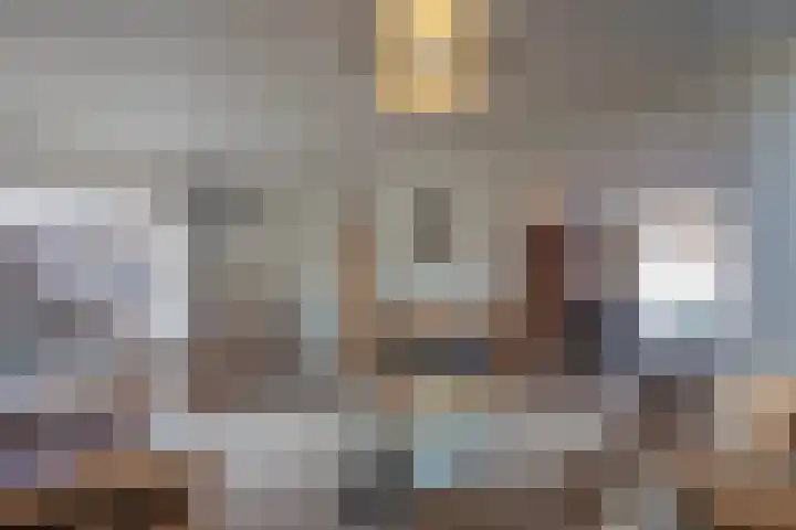 In de Bremmen 6 Haelen thumbnail 7