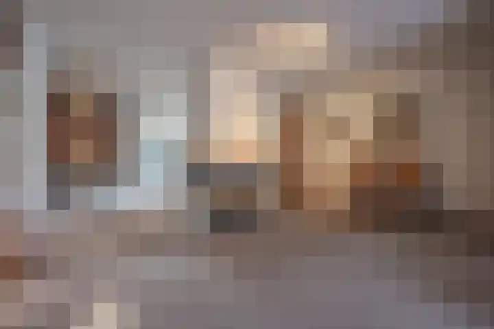 In de Bremmen 6 Haelen thumbnail 9