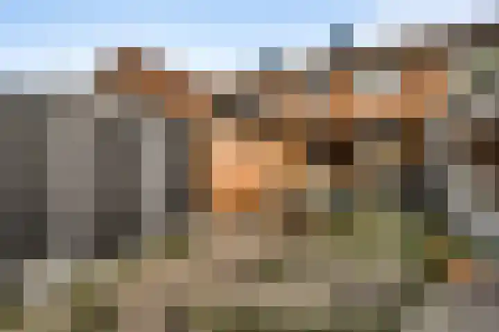 In de Camp 40 Sittard thumbnail 18