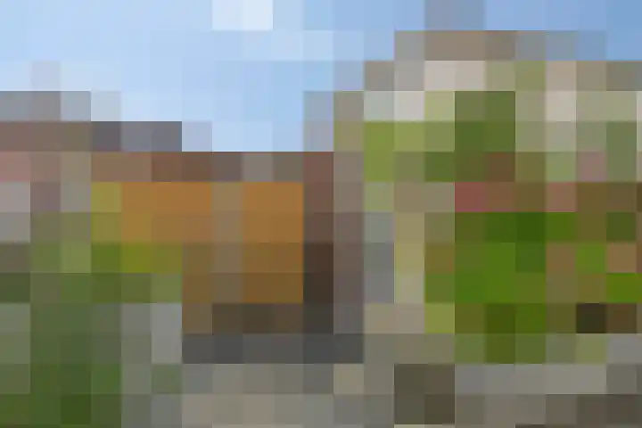 In de Eyckeroed 11 Maastricht thumbnail 21