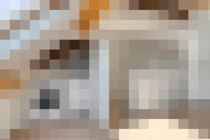 In de Eyckeroed 11 Maastricht thumbnail 31