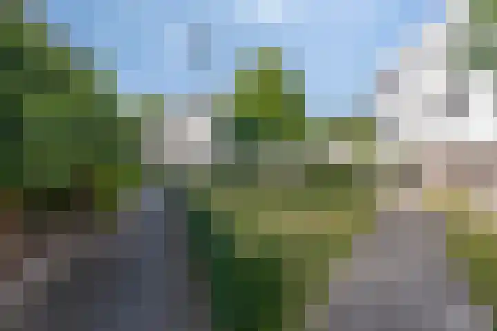 In de Eyckeroed 11 Maastricht thumbnail 35
