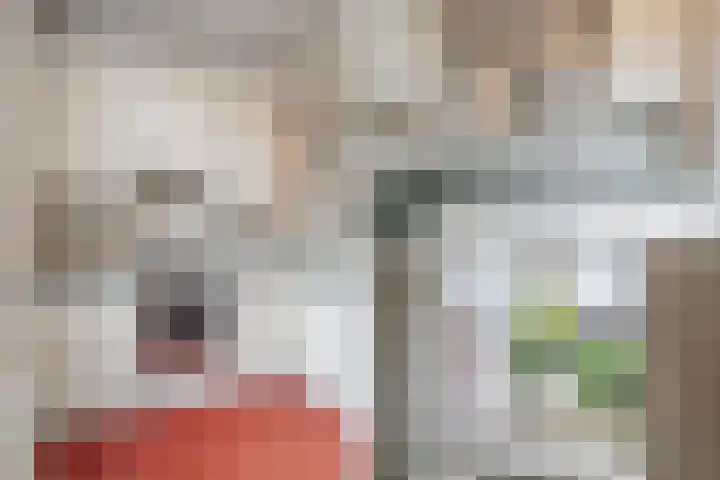 In de Houtzaagmolen 25 Duivendrecht thumbnail 13