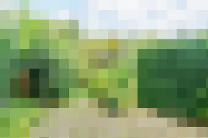 In de Houtzaagmolen 25 Duivendrecht thumbnail 36
