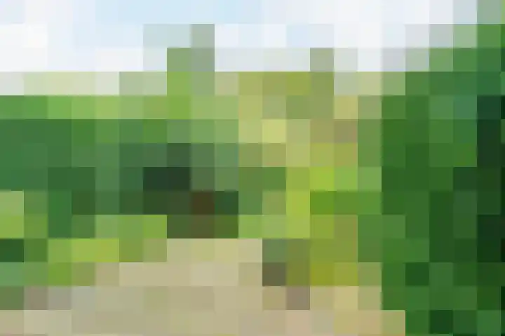 In de Houtzaagmolen 25 Duivendrecht thumbnail 37