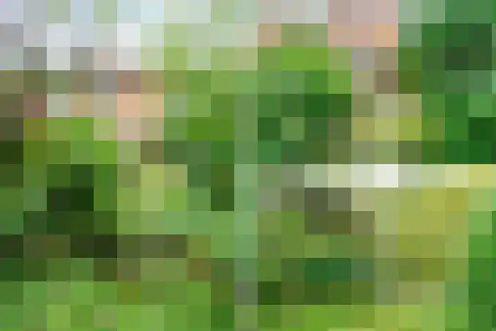 In de Houtzaagmolen 25 Duivendrecht thumbnail 38