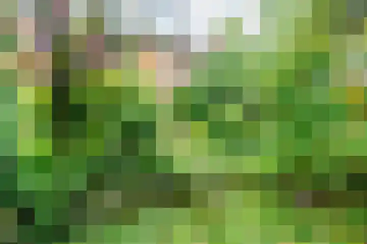 In de Houtzaagmolen 25 Duivendrecht thumbnail 39