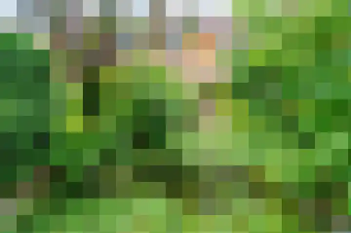 In de Houtzaagmolen 25 Duivendrecht thumbnail 4