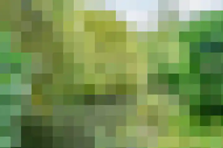In de Houtzaagmolen 25 Duivendrecht thumbnail 40