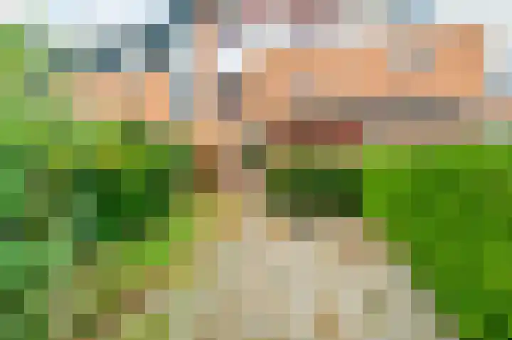 In de Houtzaagmolen 25 Duivendrecht thumbnail 42