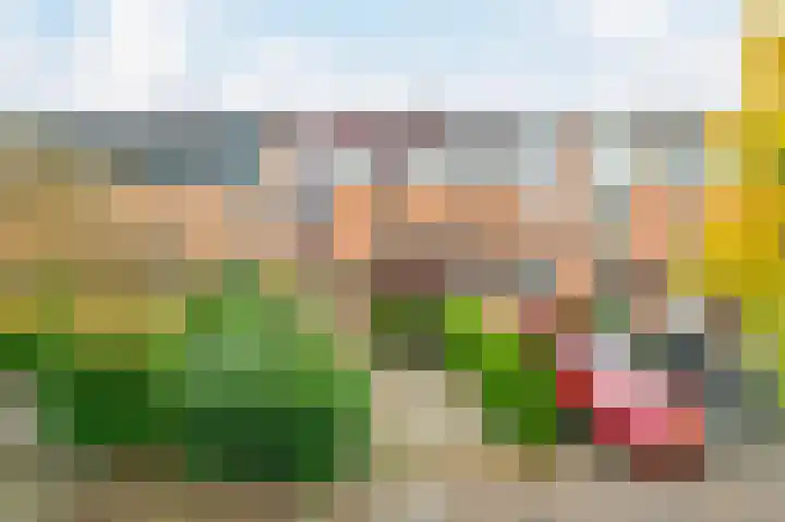 In de Houtzaagmolen 25 Duivendrecht thumbnail 43