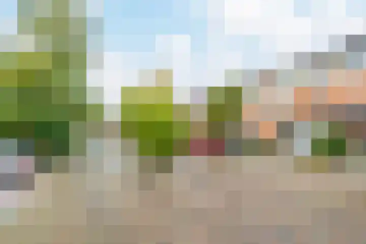 In de Houtzaagmolen 25 Duivendrecht thumbnail 44