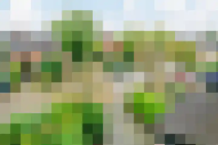 In de Houtzaagmolen 25 Duivendrecht thumbnail 46