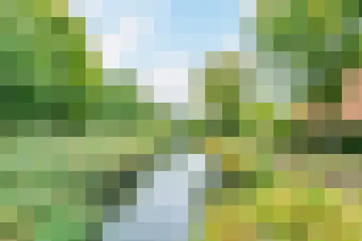 In de Houtzaagmolen 25 Duivendrecht thumbnail 47