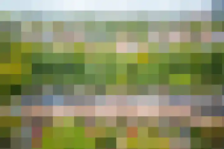In de Houtzaagmolen 25 Duivendrecht thumbnail 48