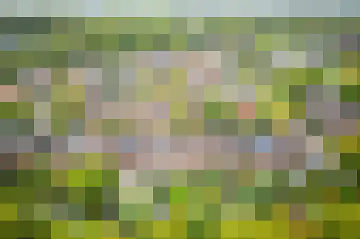 In de Houtzaagmolen 25 Duivendrecht thumbnail 49