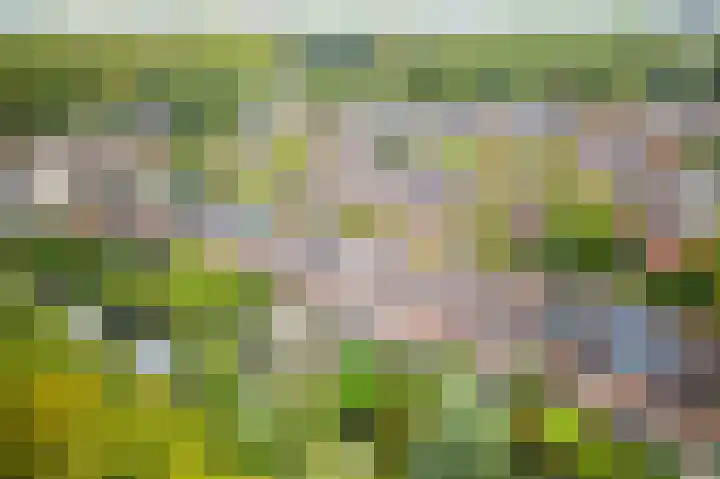 In de Houtzaagmolen 25 Duivendrecht thumbnail 50