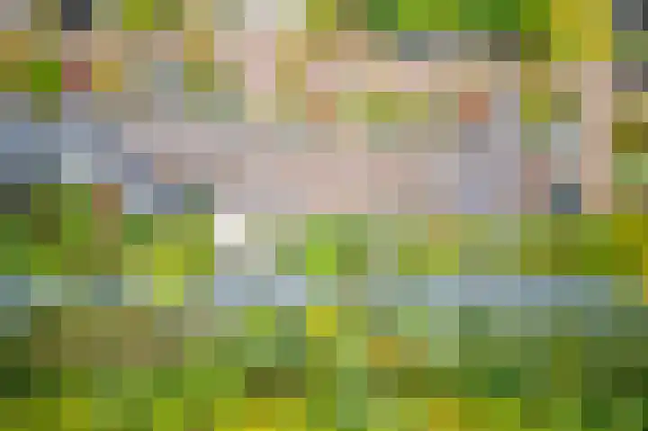 In de Houtzaagmolen 25 Duivendrecht thumbnail 51