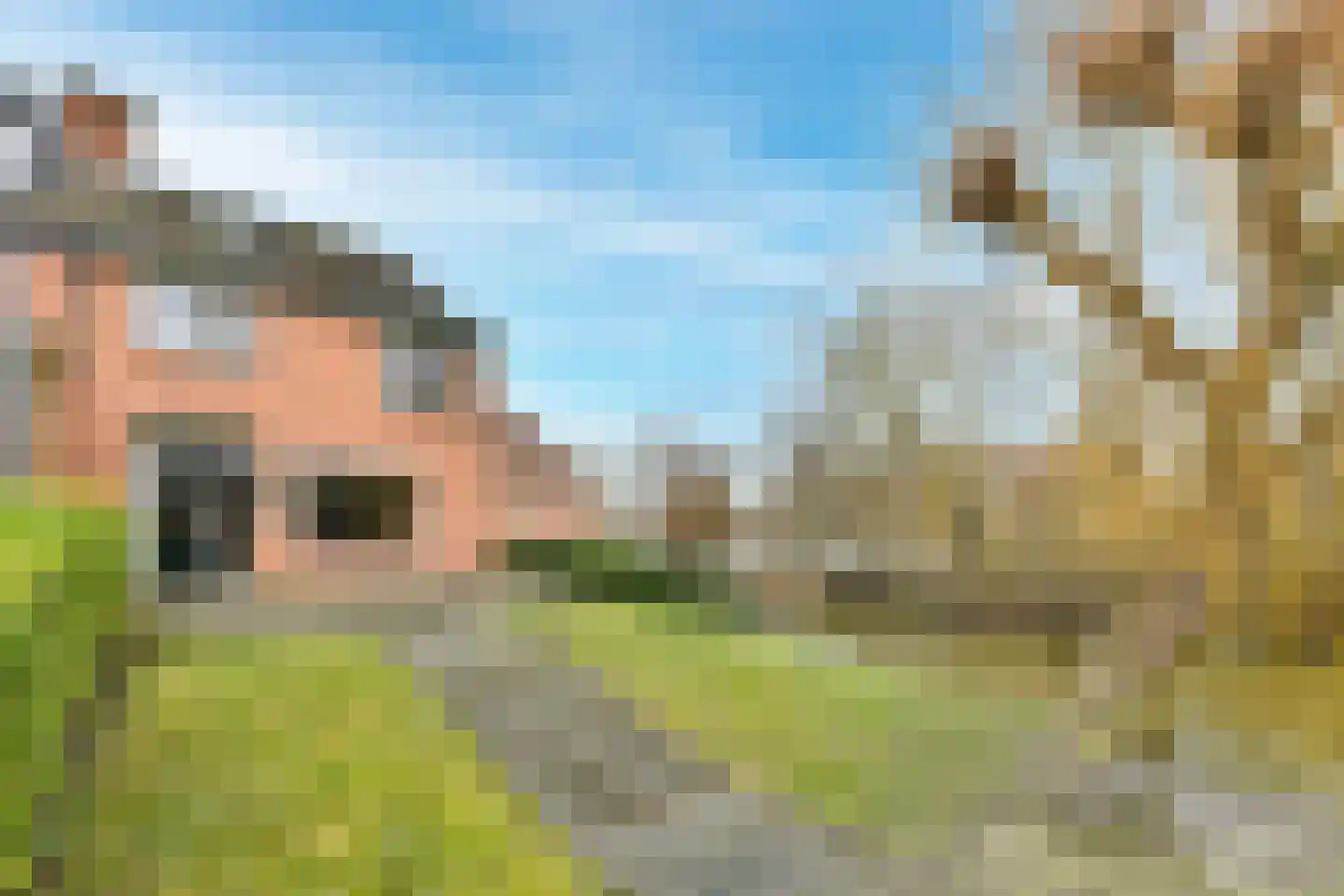 In de Houtzaagmolen 57 Duivendrecht thumbnail 8