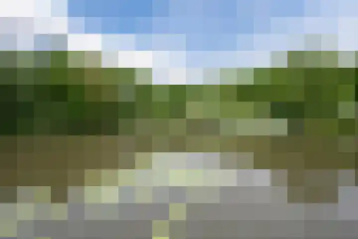In de Houtzaagmolen 59 Duivendrecht thumbnail 10