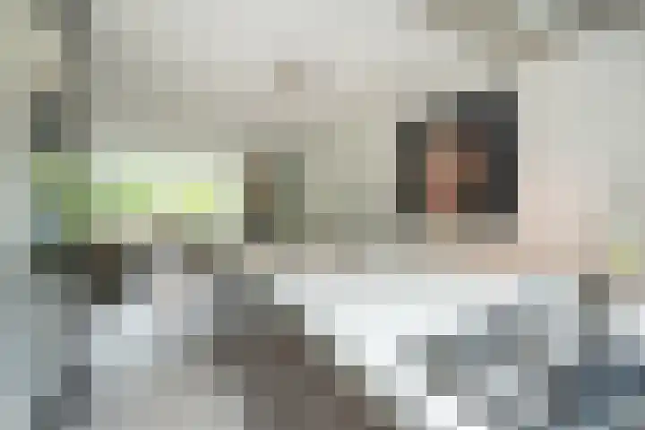 In de Houtzaagmolen 59 Duivendrecht thumbnail 16