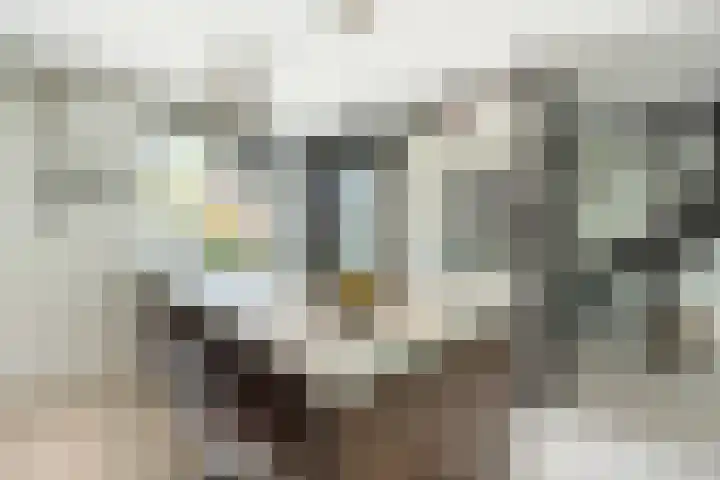 In de Houtzaagmolen 59 Duivendrecht thumbnail 17