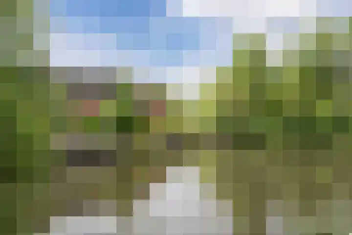 In de Houtzaagmolen 59 Duivendrecht thumbnail 35