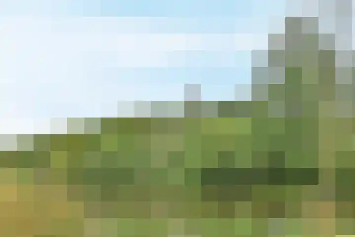 In de Houtzaagmolen 59 Duivendrecht thumbnail 38