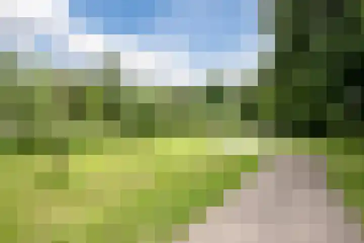 In de Houtzaagmolen 59 Duivendrecht thumbnail 39
