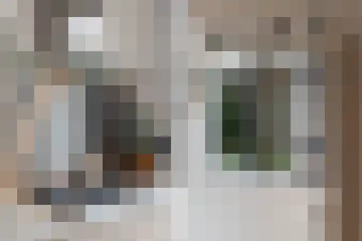 In de Korenmolen 5 Duivendrecht thumbnail 14