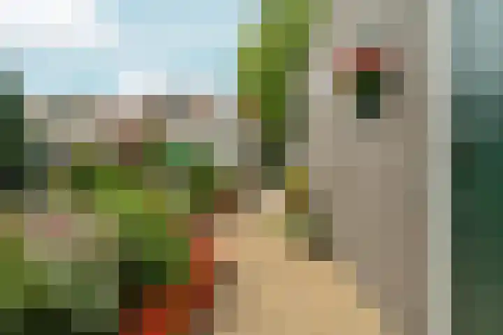 In de Korenmolen 5 Duivendrecht thumbnail 40