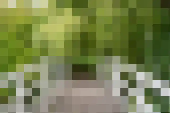 In de Korenmolen 5 Duivendrecht thumbnail 41