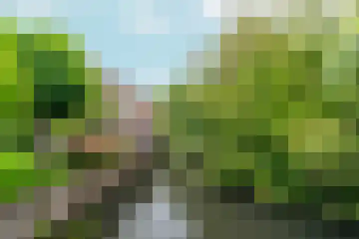 In de Korenmolen 5 Duivendrecht thumbnail 42