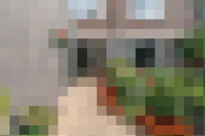 In de Korenmolen 5 Duivendrecht thumbnail 5
