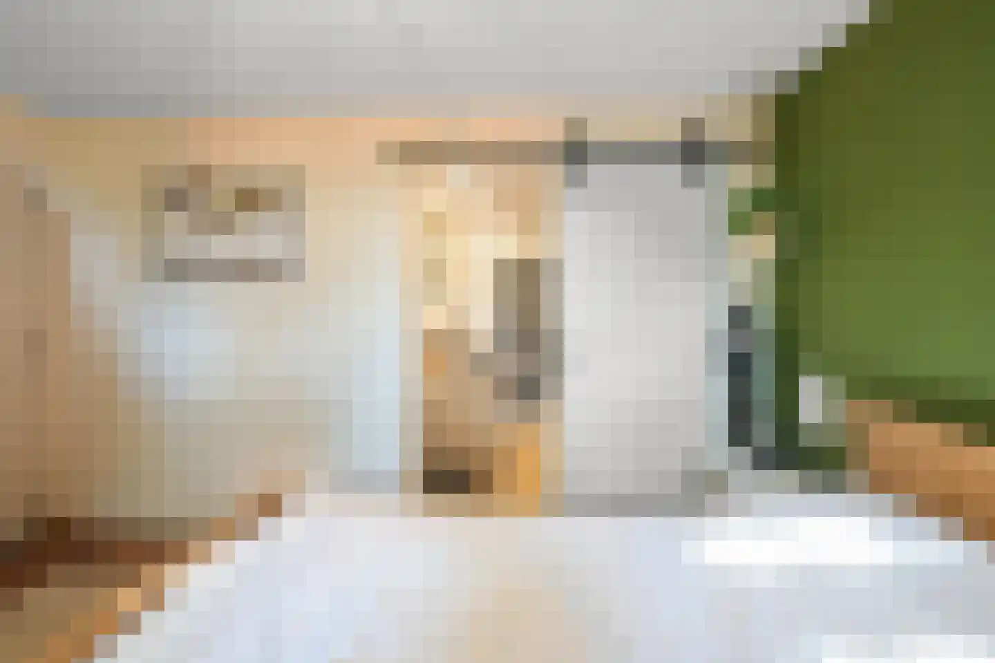 In de Maalderij 2 Woerdense Verlaat thumbnail 14