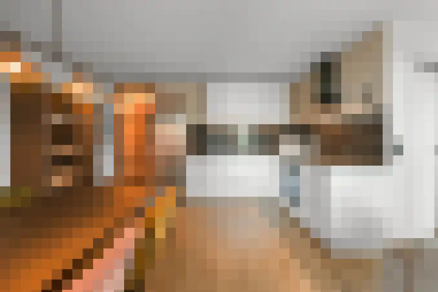 In de Maalderij 2 Woerdense Verlaat thumbnail 9