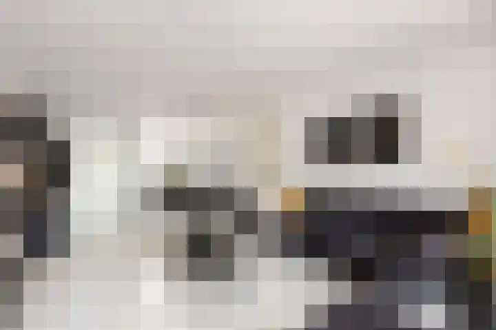 In de Mehre 85 B Susteren thumbnail 10