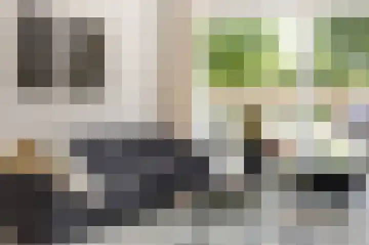 In de Mehre 85 B Susteren thumbnail 11